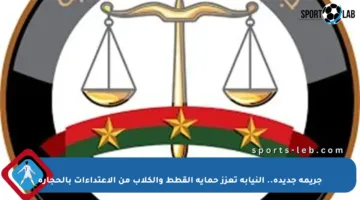 جريمة جديدة.. النيابة تعزز حماية القطط والكلاب من الاعتداءات بالحجارة